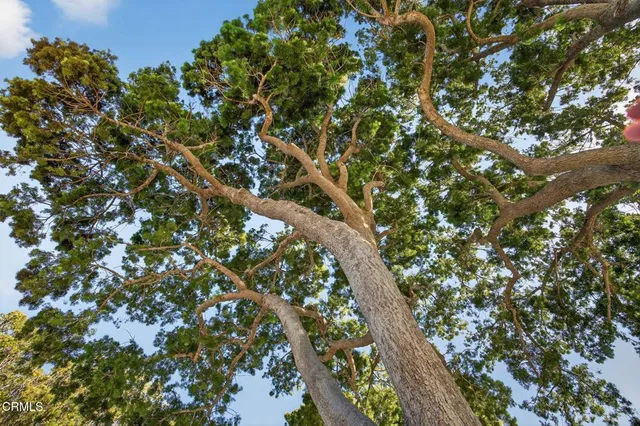 $890,000 | 1721 Joanne Way, Oxnard, CA 93030