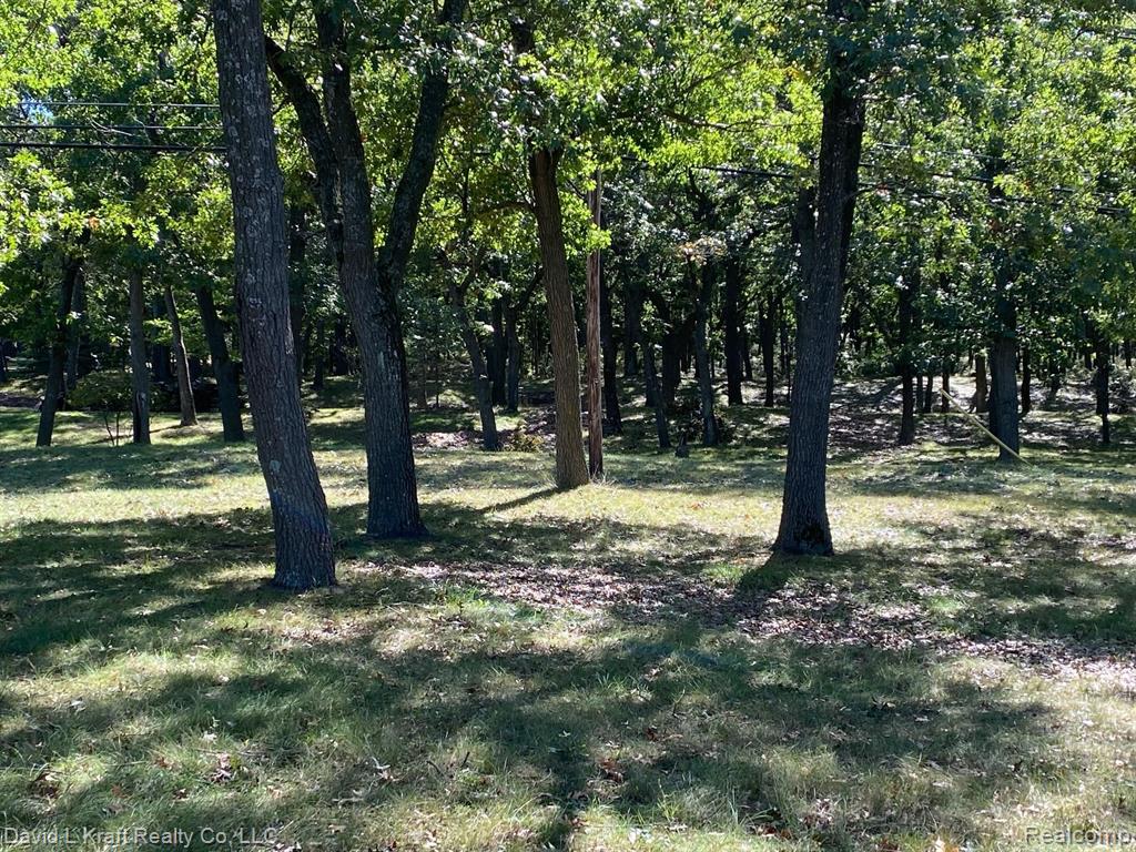5417 Port Austin Road Caseville, MI 48725 - Photo 1 of 8