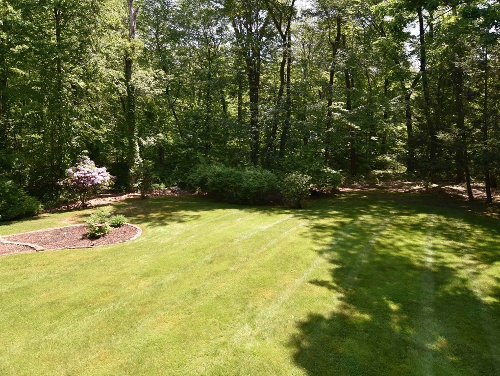 3 Violet Circle Milford, MA 01757 - Photo 38 of 41 a view of a yard with swimming pool