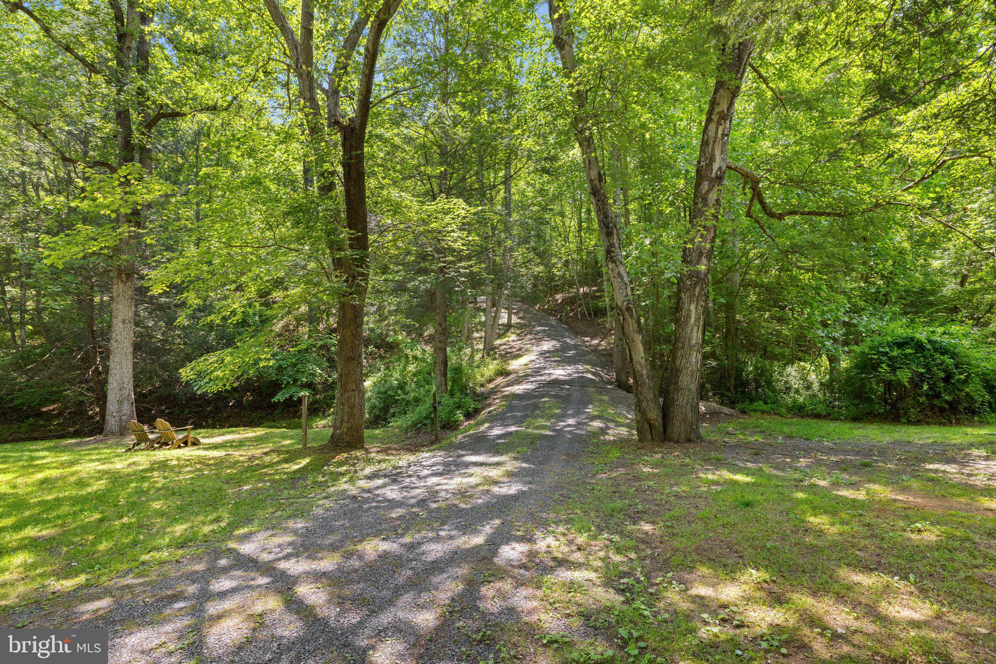 47 Gore Road Castleton, VA 22716 - Photo 37 of 46 a view of outdoor space with trees all around