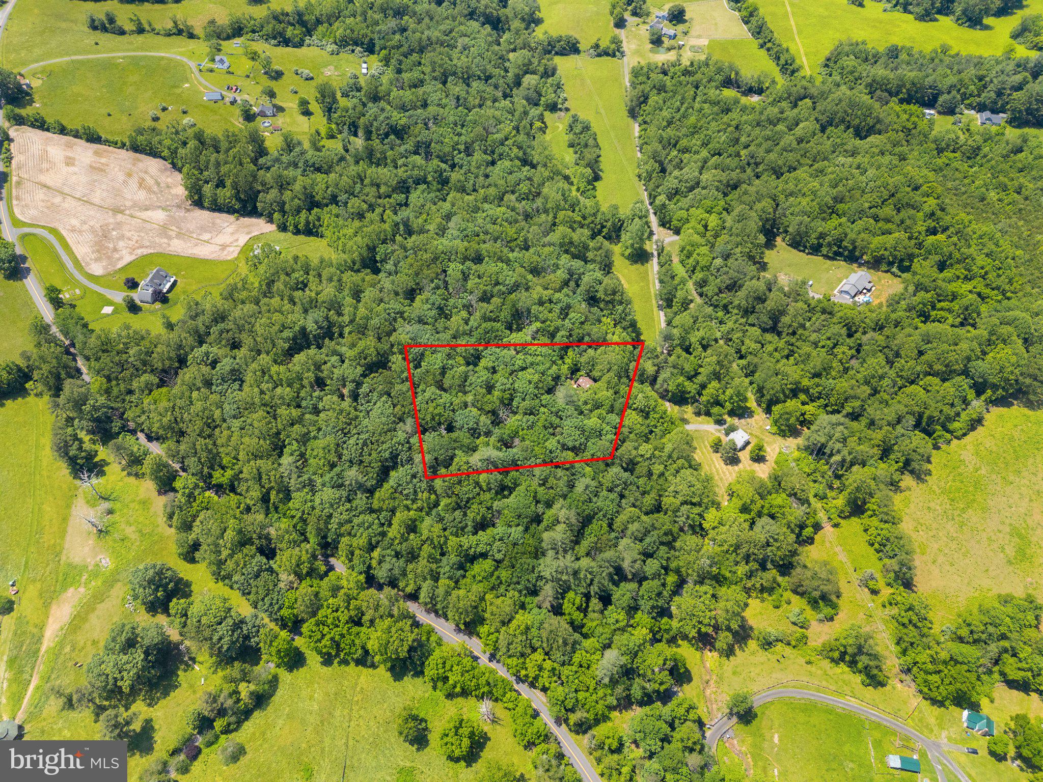 47 Gore Road Castleton, VA 22716 - Photo 44 of 46 a view of a garden with a tree