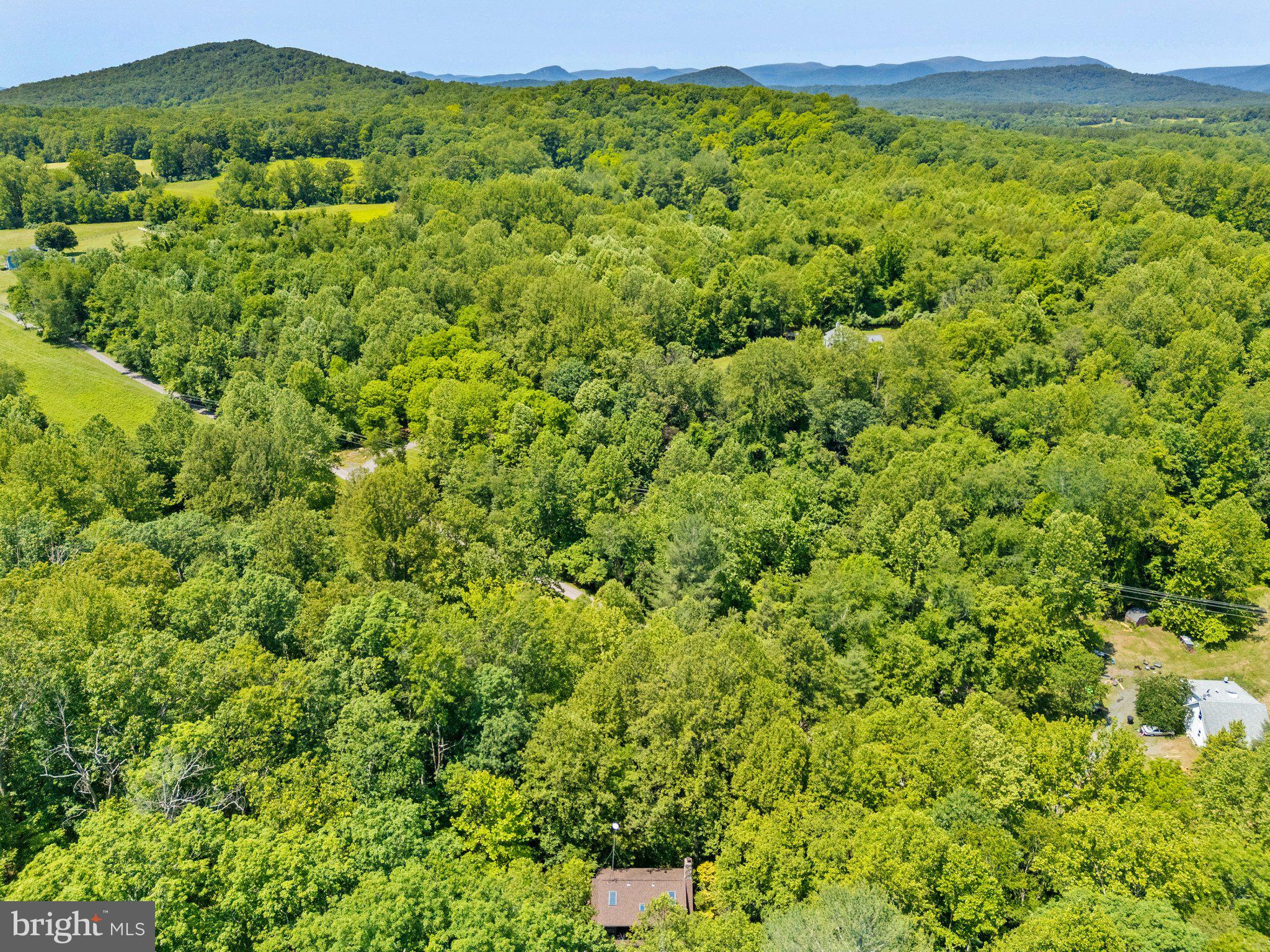 47 Gore Road Castleton, VA 22716 - Photo 45 of 46 a view of a green field with lots of plants