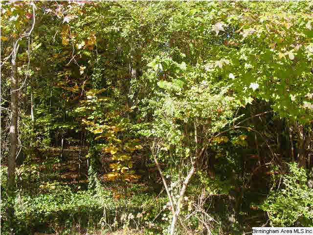 Old Choccolocco Road, Unit 73 Anniston, AL 36207 - Photo 5 of 30