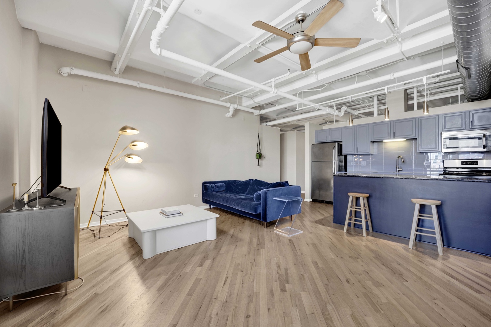 500 South Clinton Street, Unit 642 Chicago, IL 60607 - Photo 4 of 29
