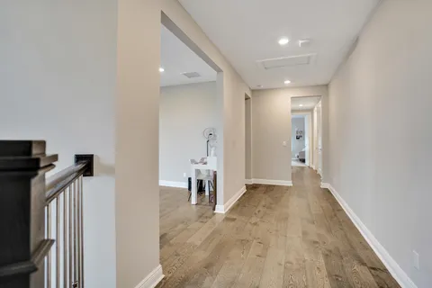 a view of three palm trees