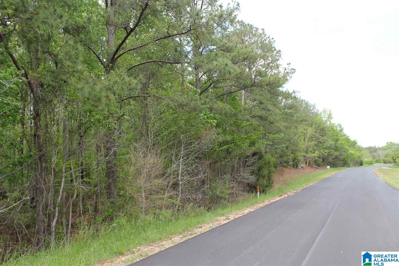 0 County Road 38 Jemison, AL 35085 - Photo 9 of 13
