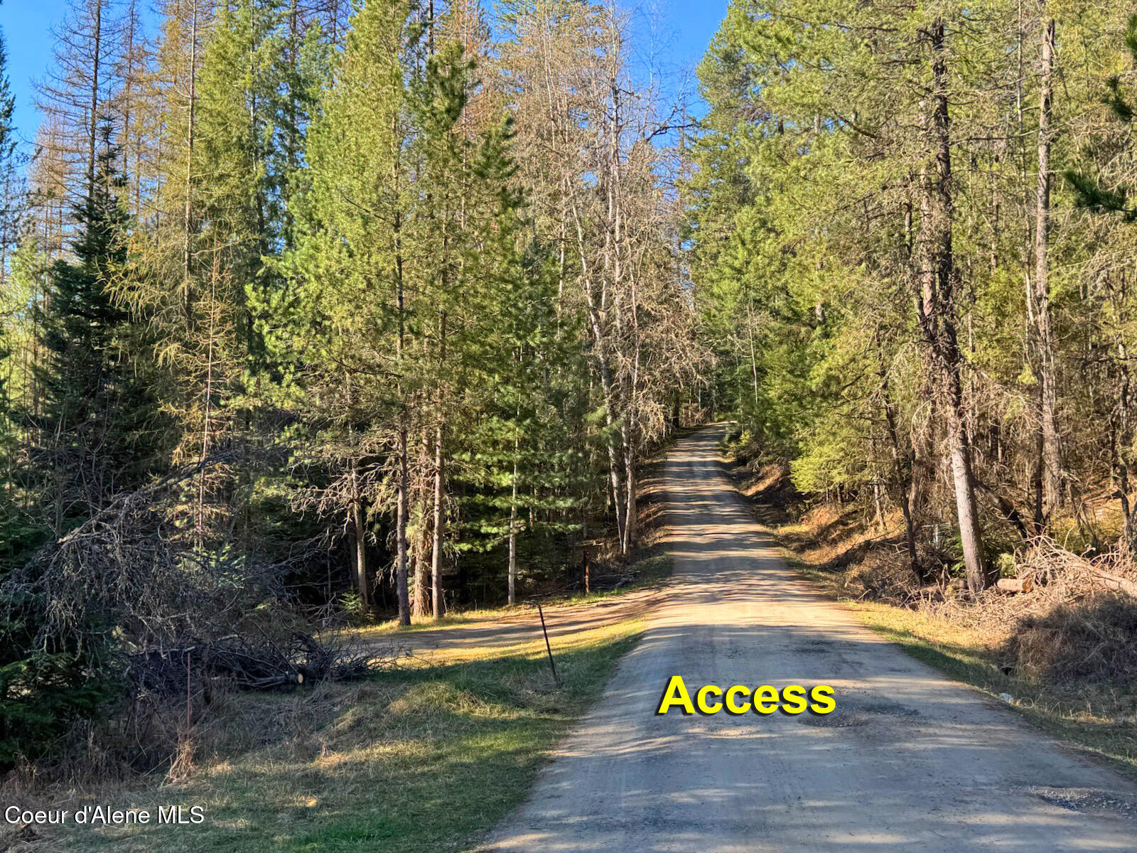 338 Steep Lane Cocolalla, ID 83813 - Photo 65 of 73 Nice road
