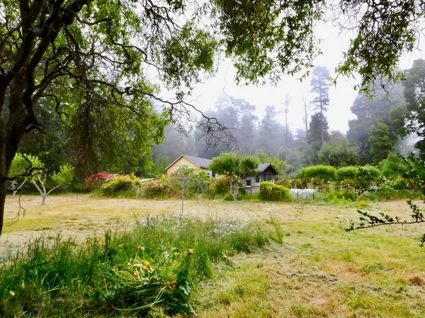 $600,000 | 10776 Gurley Lane, Mendocino, CA 95460