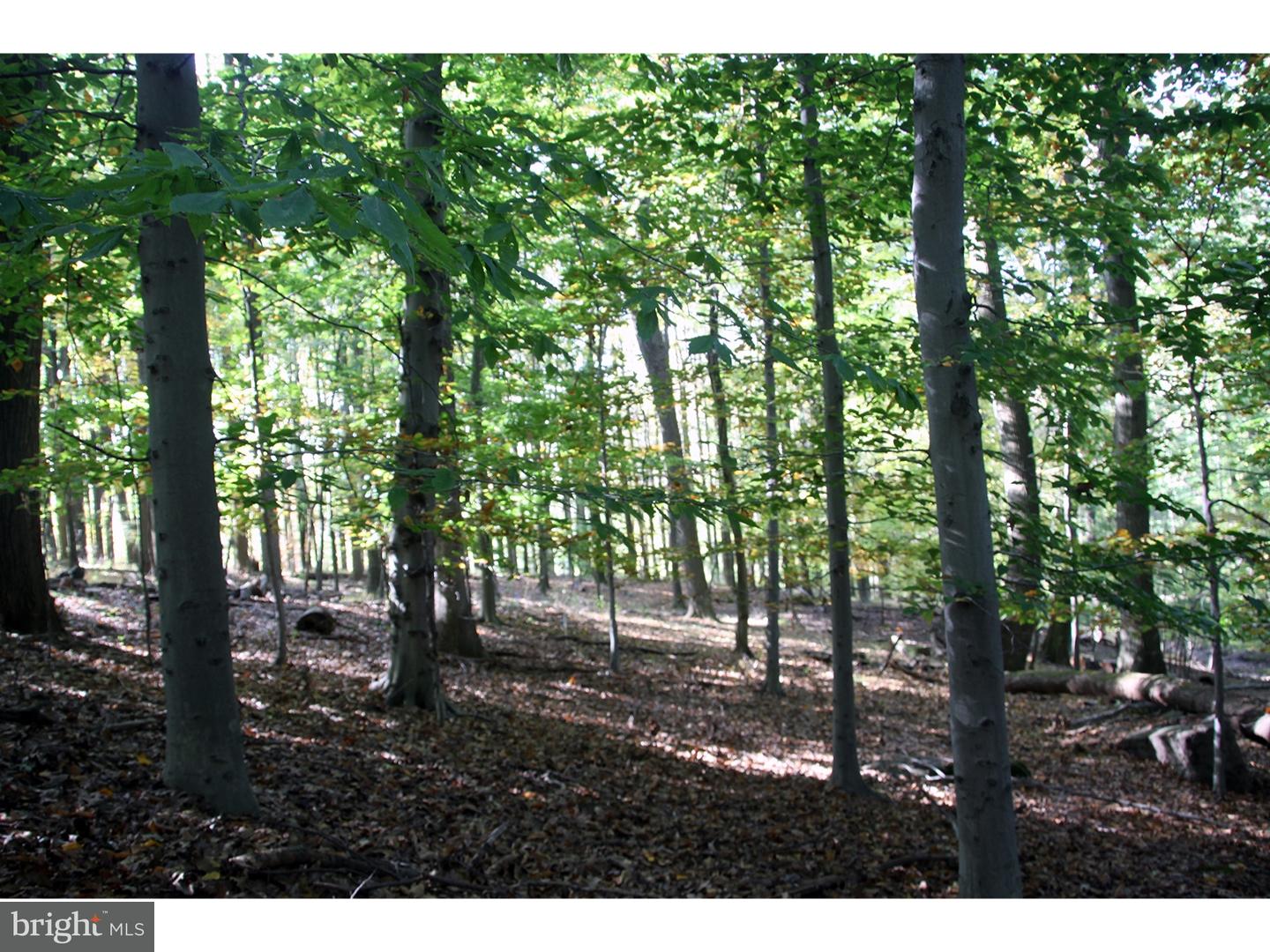 Lot 3 Ash Mill Road Doylestown, PA 18902 - Photo 5 of 10 Gallery Image 5