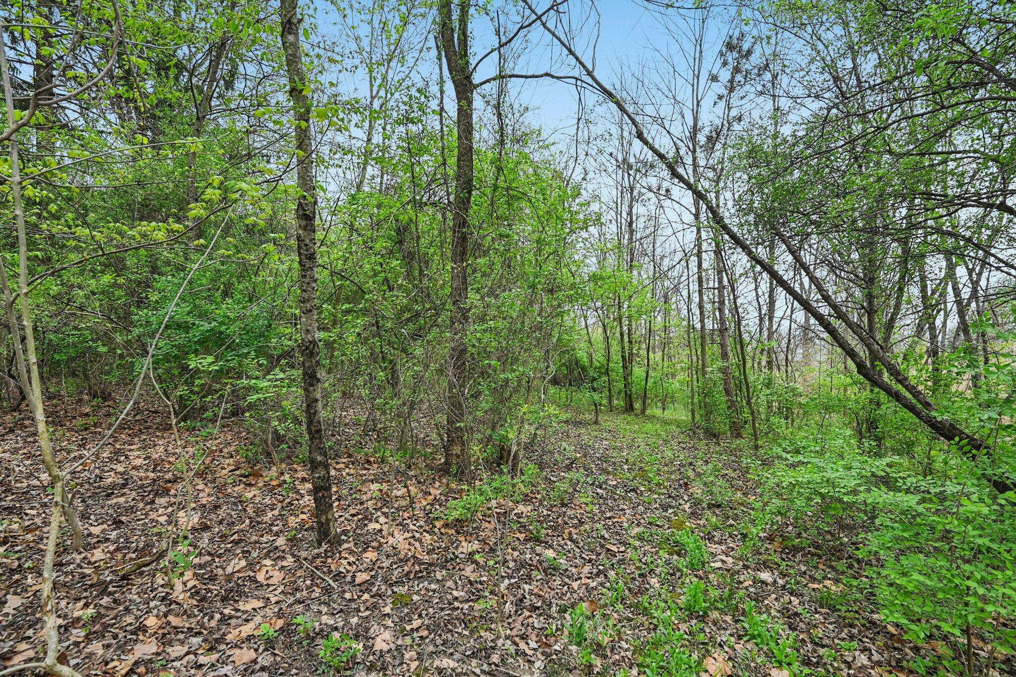 12459 Saylor Road Northwest Baltimore, OH 43105 - Photo 30 of 50 36-web-or-mls-Saylor Rd-S1704-036