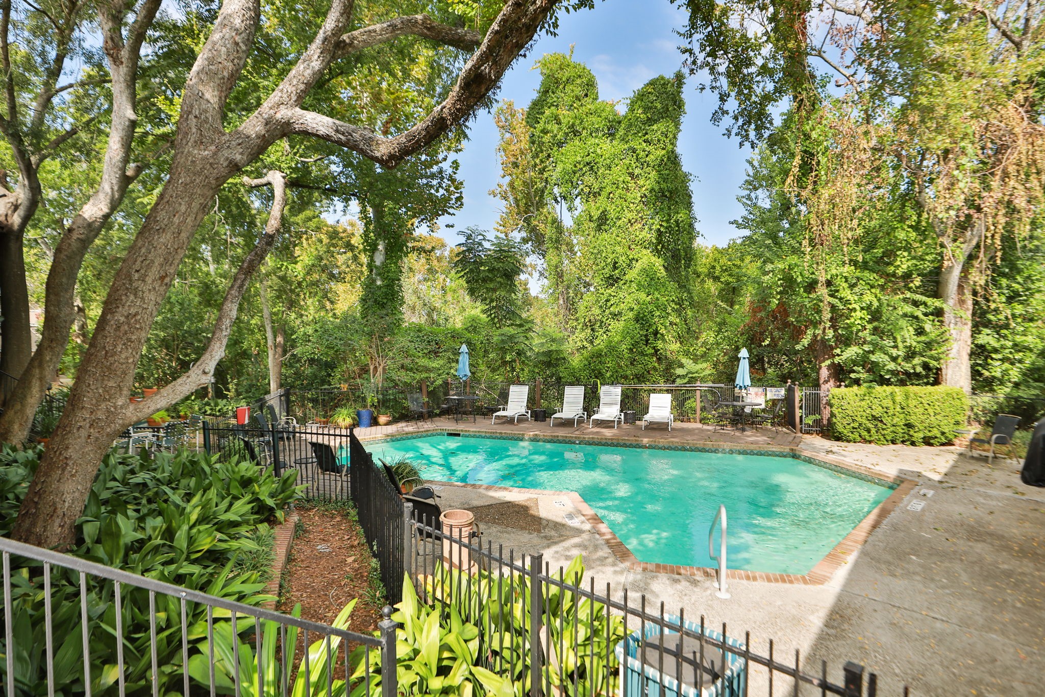 666 South Ripple Creek Drive, Unit 666 Houston, TX 77057 - Photo 40 of 49 a view of a backyard