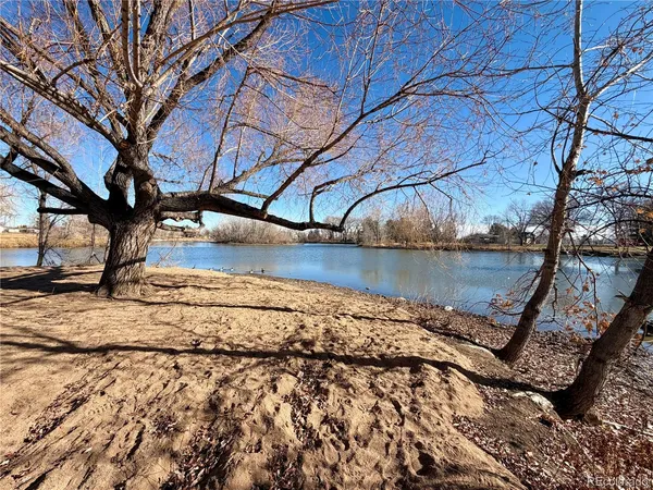 a view of a backyard of the house
