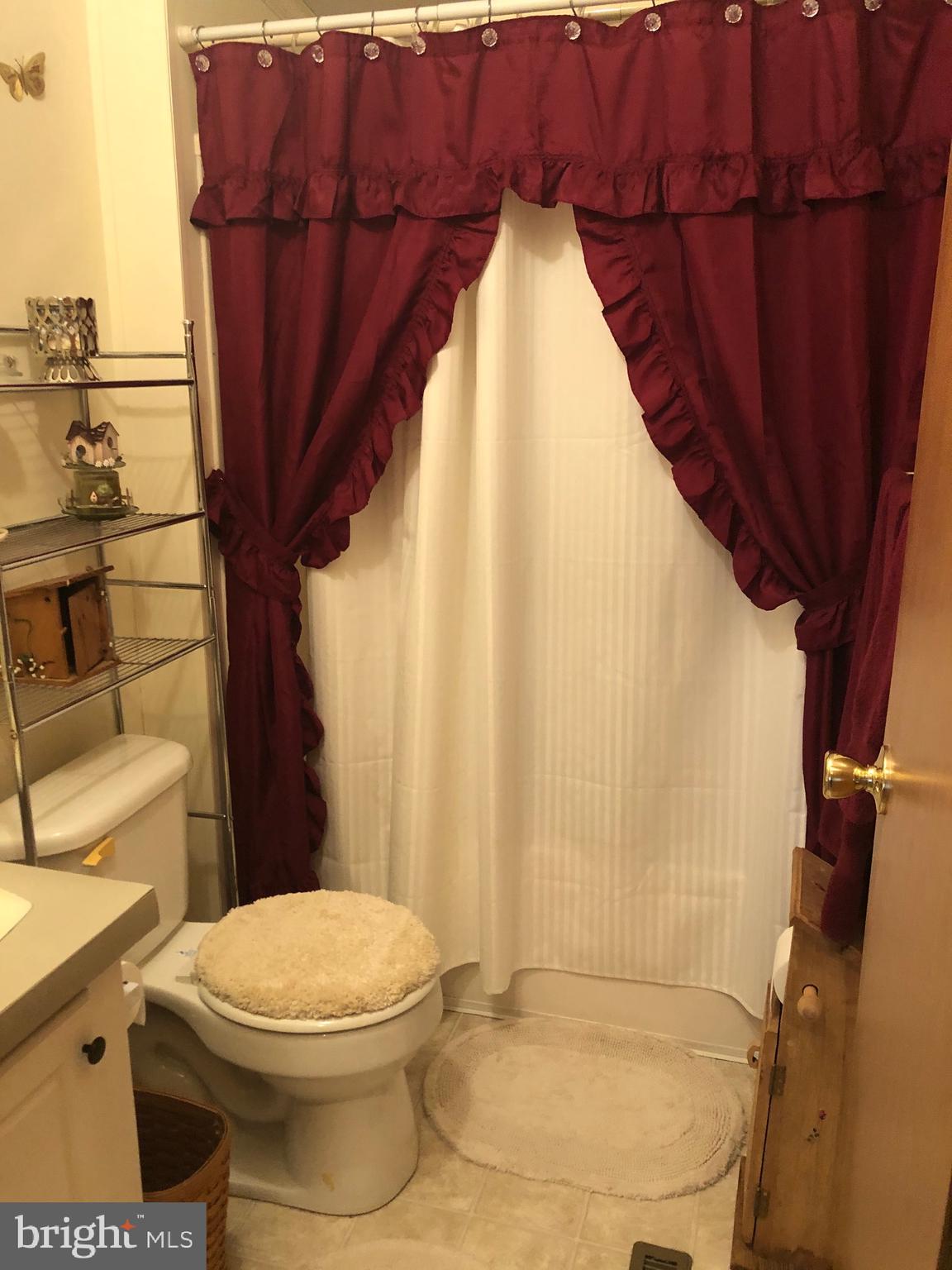 16937 Alcott Road Hagerstown, MD 21740 - Photo 35 of 36 hall full bath
