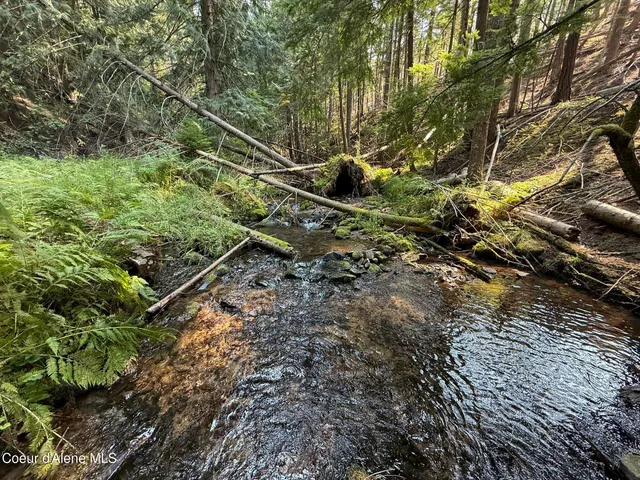 $127,700 | 700 White Pine Way, Fernwood, ID 83830