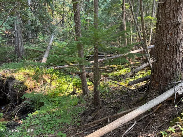 $127,700 | 700 White Pine Way, Fernwood, ID 83830