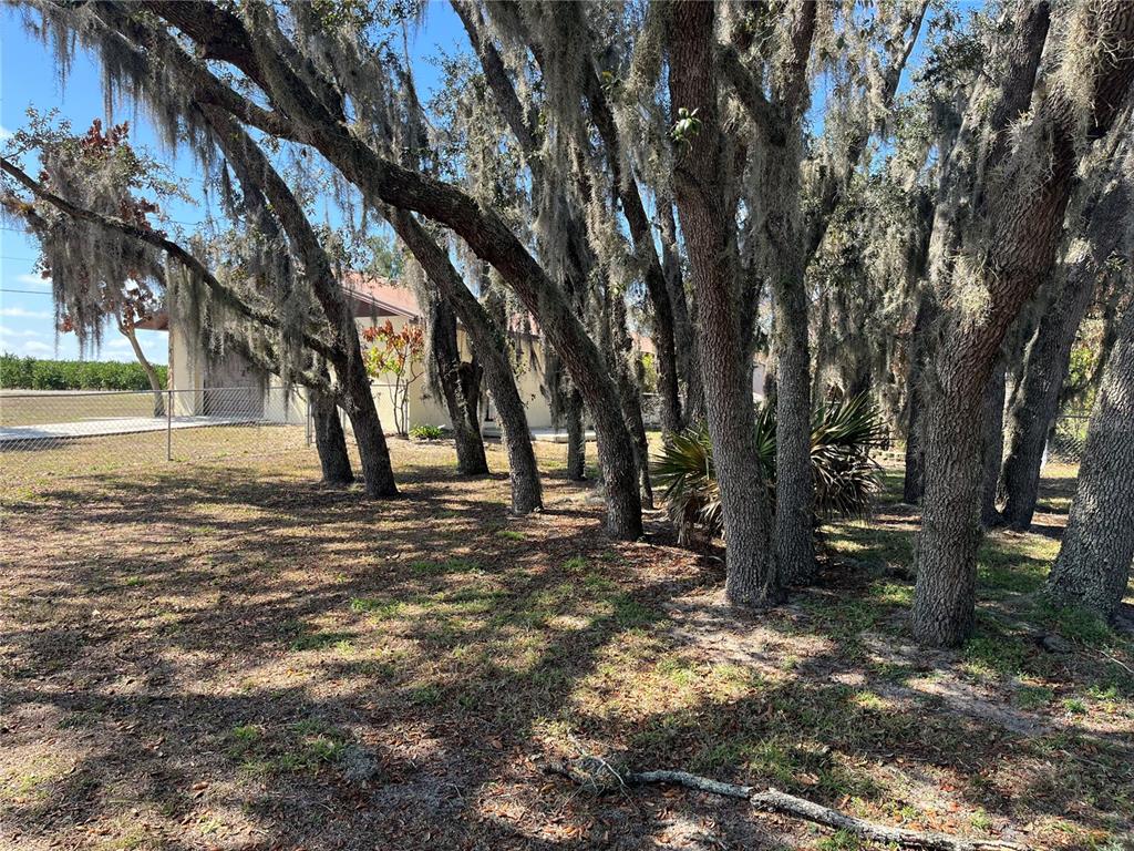 2052 West Stryker Road Avon Park, FL 33825 - Photo 8 of 35