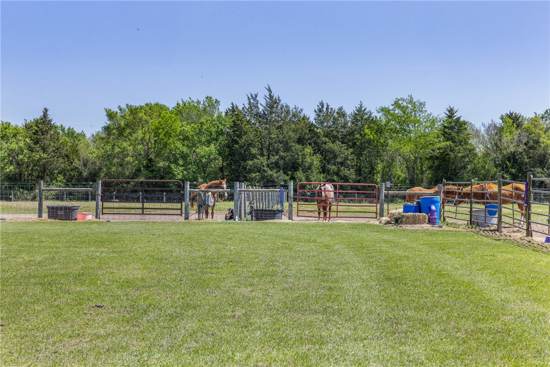 1389 Hollis Road Madisonville, TX 77864 - Photo 35 of 42