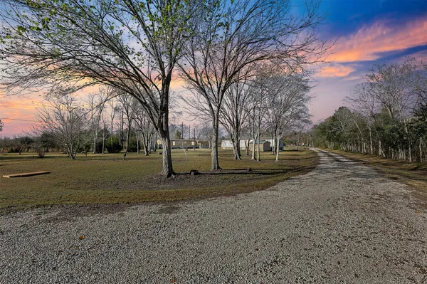 a view of road with tree
