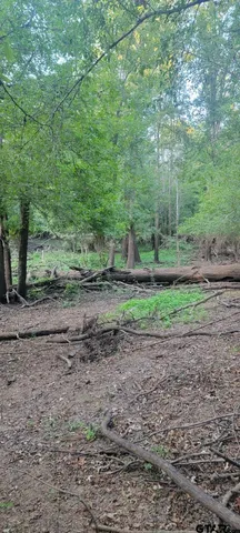 a view of lake view and mountain