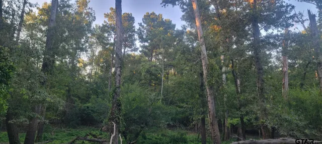 a view of a outdoor space and a yard