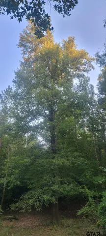 $371,278 | 2517 St Carthage Tx 75633, Carthage, TX 75633