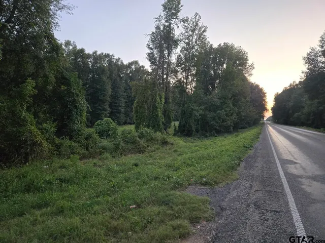 a view of a yard with trees in the background