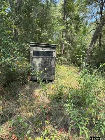 a view of house with a yard