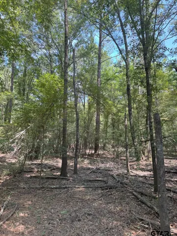 a view of outdoor space and trees