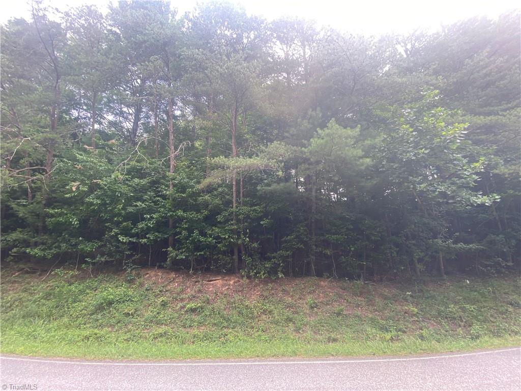 1 Mulberry Road North Wilkesboro, NC 28659 - Photo 4 of 9