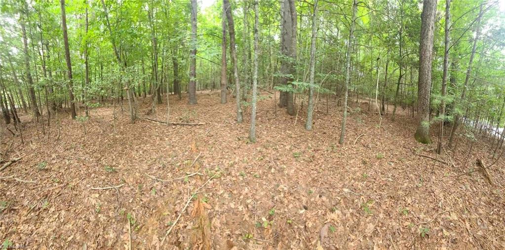 1 Mulberry Road North Wilkesboro, NC 28659 - Photo 5 of 9