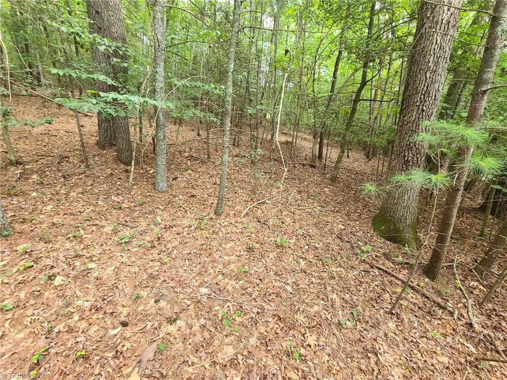 1 Mulberry Road North Wilkesboro, NC 28659 - Photo 6 of 9