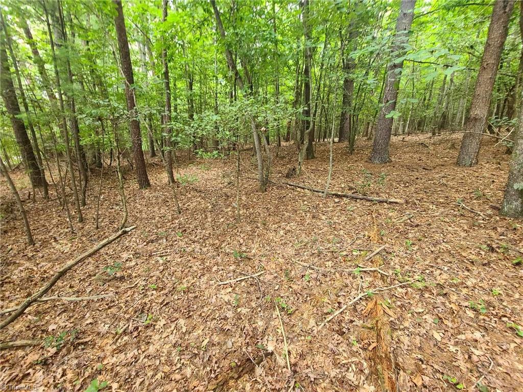 1 Mulberry Road North Wilkesboro, NC 28659 - Photo 7 of 9