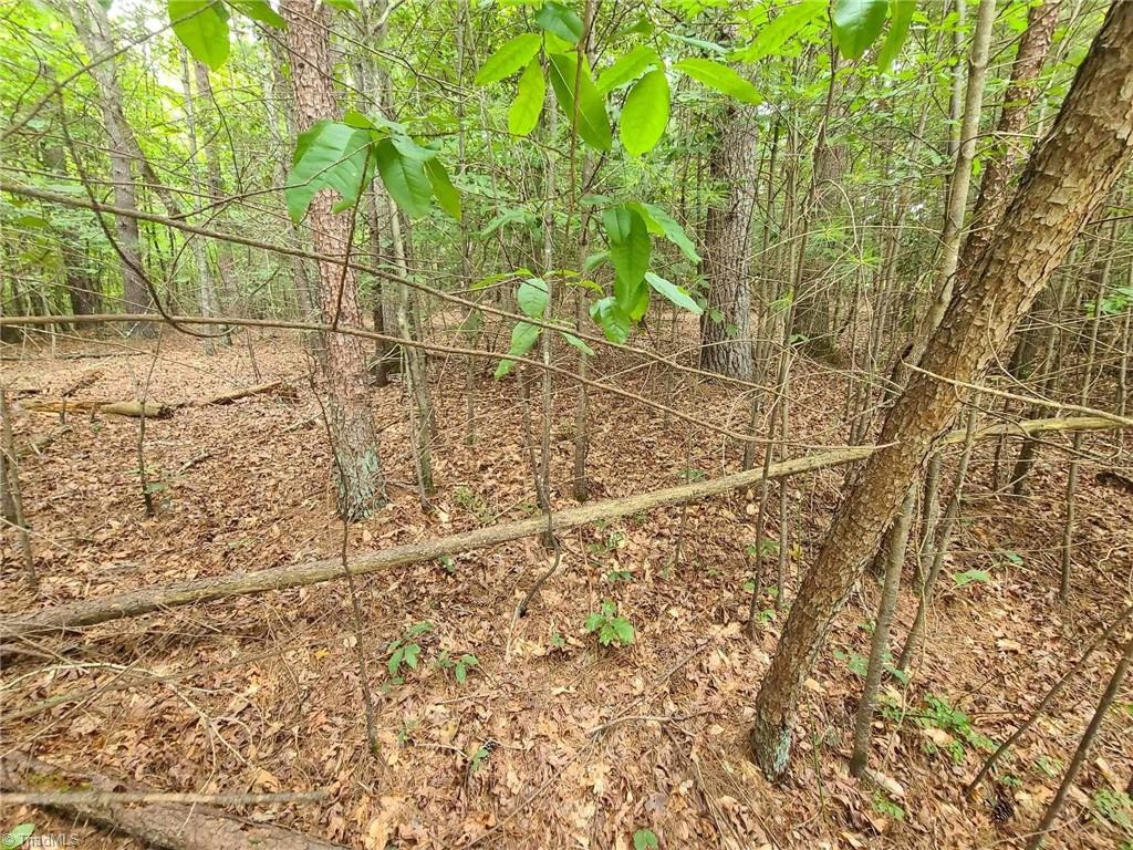 1 Mulberry Road North Wilkesboro, NC 28659 - Photo 8 of 9