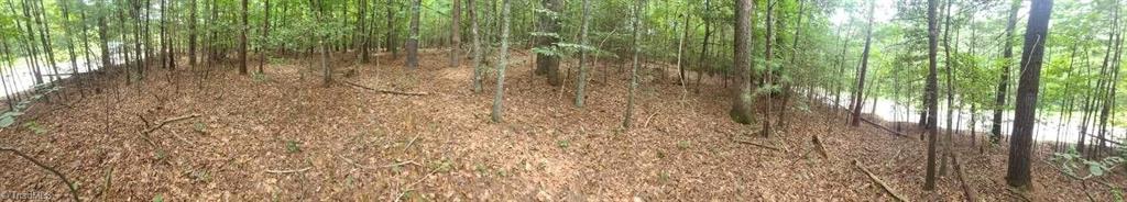 1 Mulberry Road North Wilkesboro, NC 28659 - Photo 9 of 9