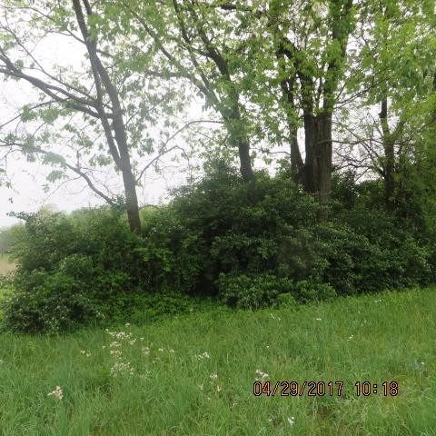 1 Cynthiana Road Paris, KY 40361 - Photo 2 of 3 Photo 2