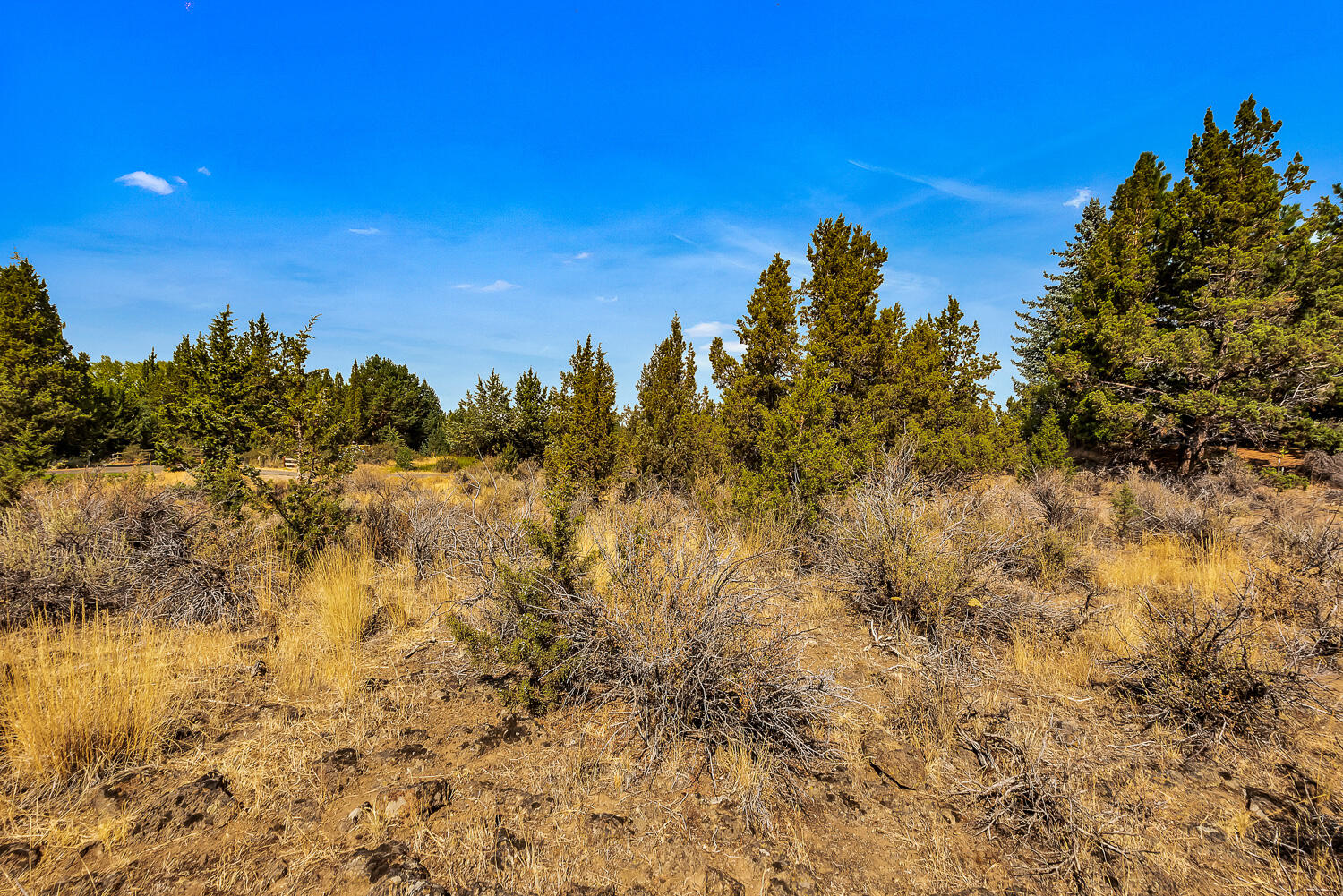 21533 Stoney Ridge Road Bend, OR 97701 - Photo 6 of 16 OReilly_20200921_4_280034_72ppi