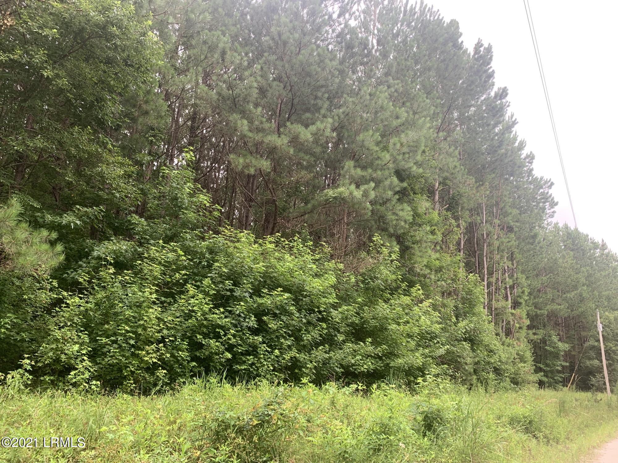 0 Ficken Road Early Branch, SC 29916 - Photo 1 of 6 Image (2)