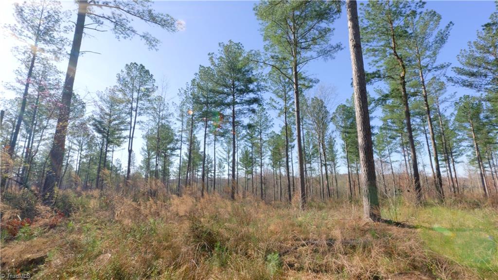 3 Carson Road Cleveland, NC 27013 - Photo 12 of 32