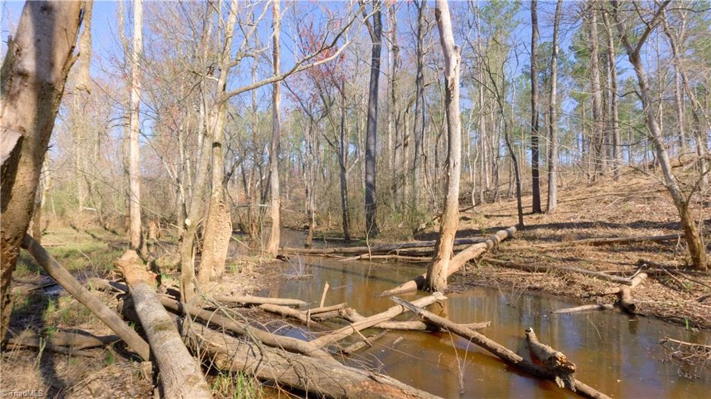 3 Carson Road Cleveland, NC 27013 - Photo 13 of 32