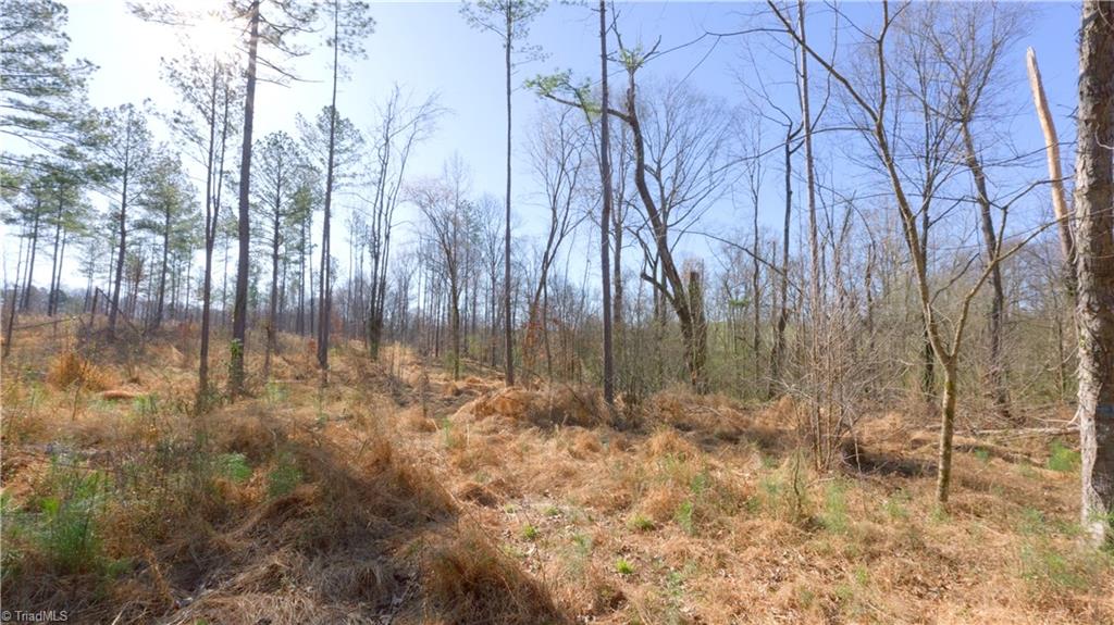 3 Carson Road Cleveland, NC 27013 - Photo 16 of 32