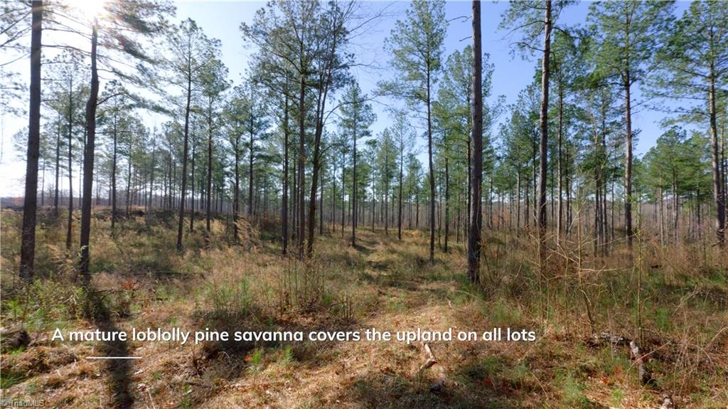 3 Carson Road Cleveland, NC 27013 - Photo 2 of 32