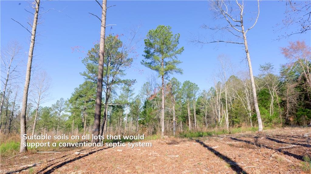 3 Carson Road Cleveland, NC 27013 - Photo 3 of 32