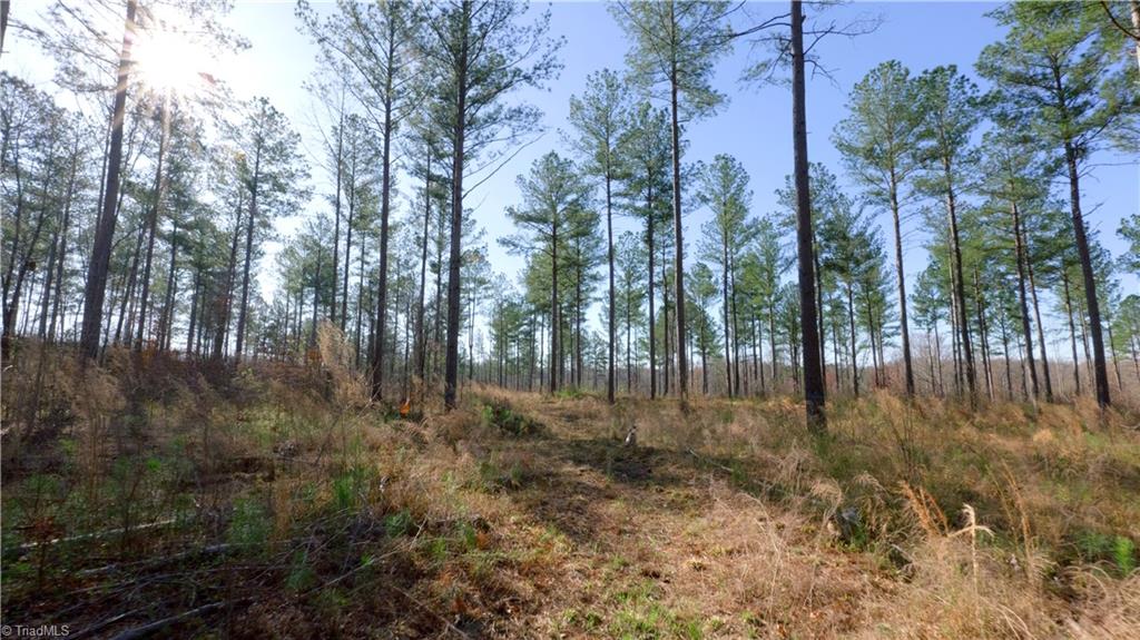 3 Carson Road Cleveland, NC 27013 - Photo 10 of 32