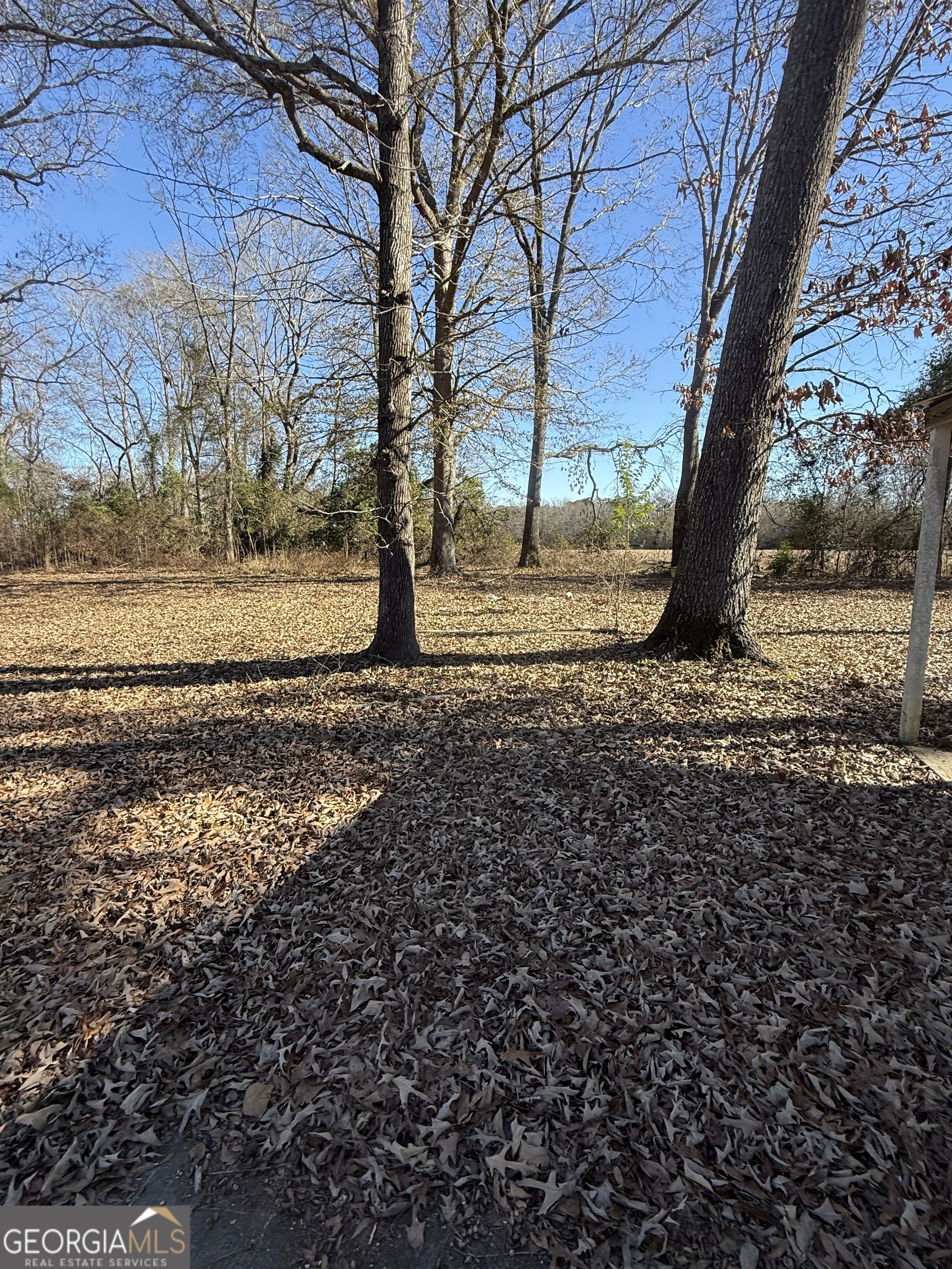 102 Canion Place Kathleen, GA 31047 - Photo 16 of 18 a view of a yard with wooden fence