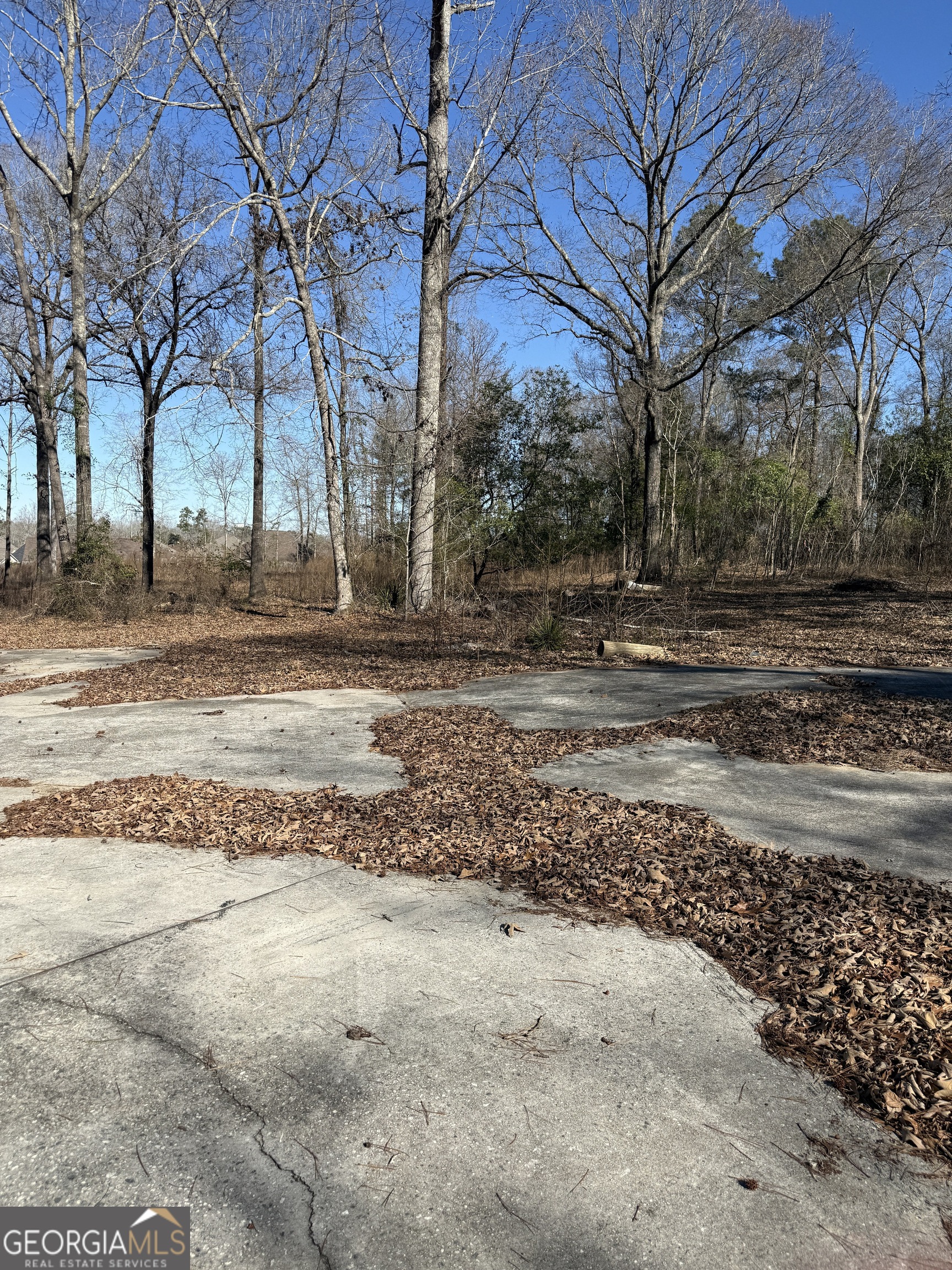 102 Canion Place Kathleen, GA 31047 - Photo 4 of 18 a view of a yard with a tree