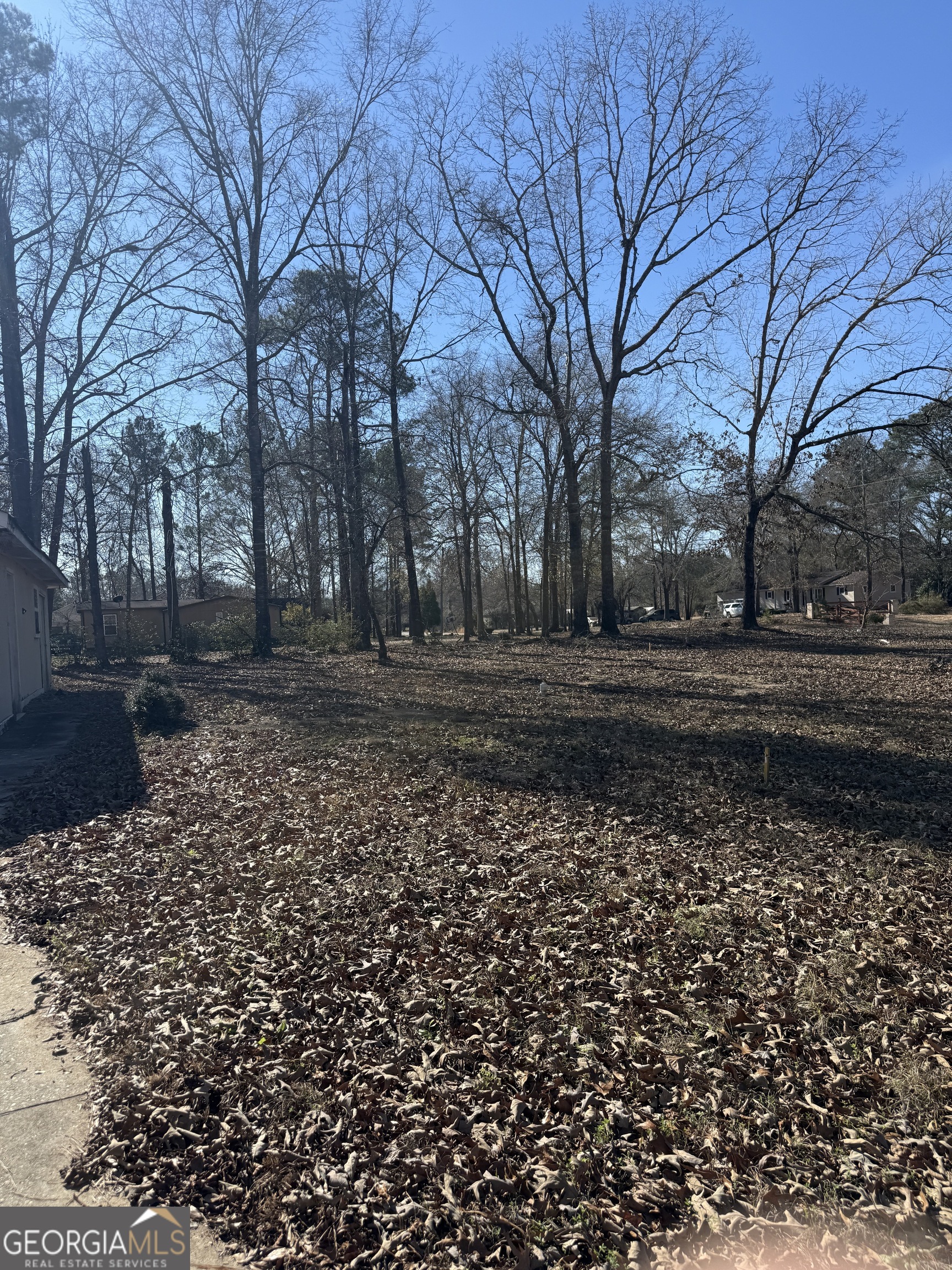 102 Canion Place Kathleen, GA 31047 - Photo 7 of 18 a view of a yard with trees