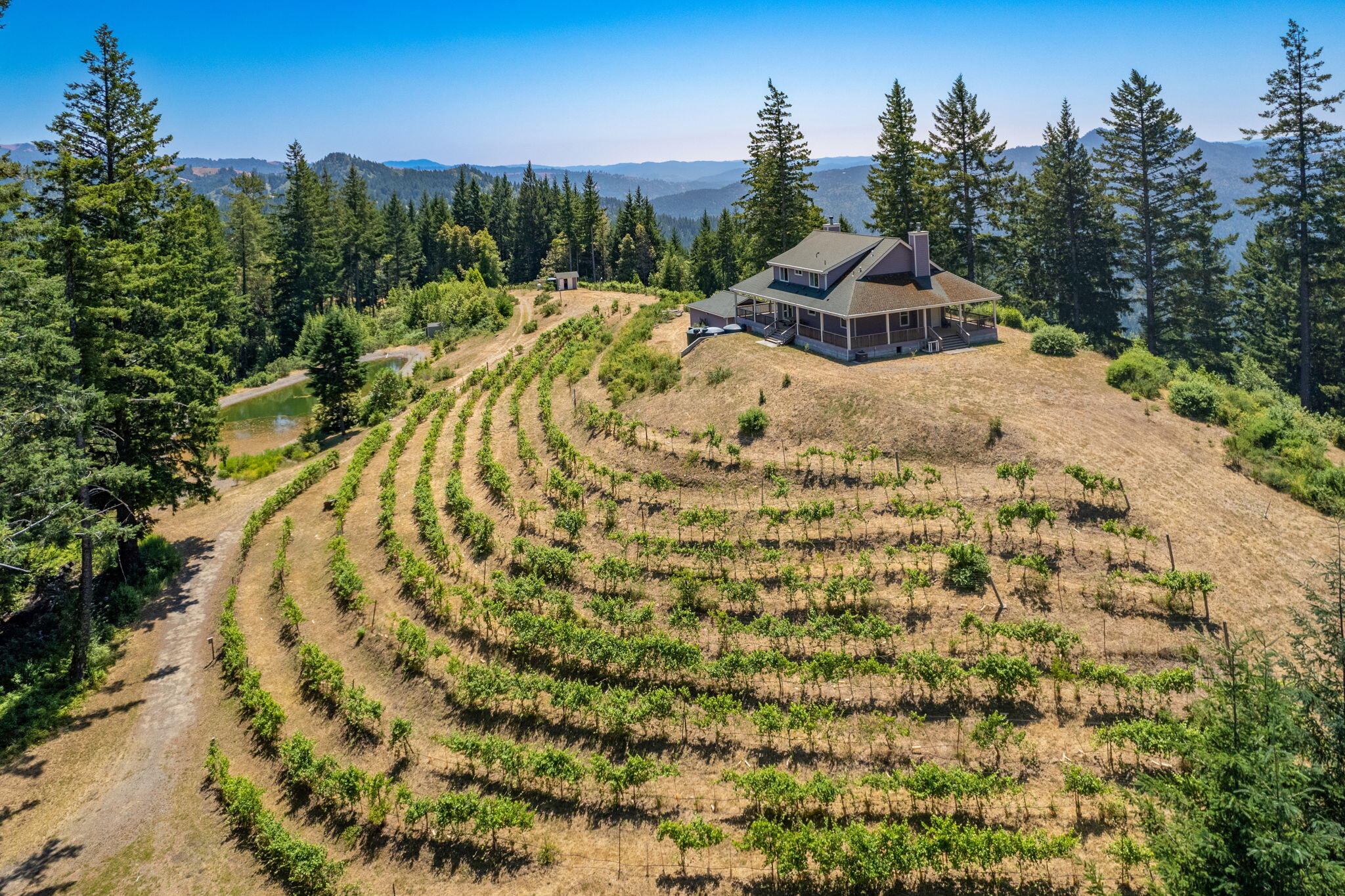 16370 Dyerville Loop Road Myers Flat, CA 95554 - Photo 1 of 1 Gallery Image 1