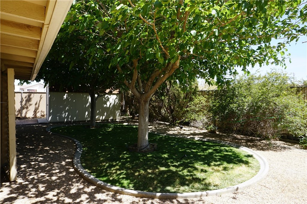 27841 Crestview Road Barstow, CA 92311 - Photo 20 of 28 a view of yard