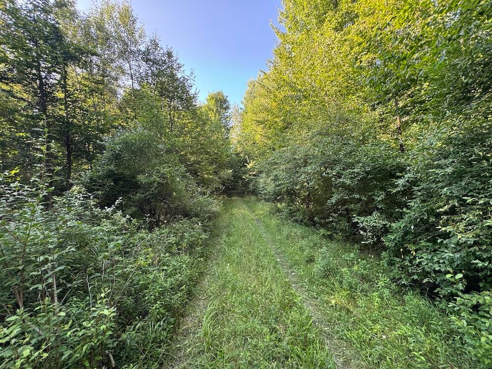 East Procunier Road Harrisville, MI 48740 - Photo 35 of 78 Gallery Image 35