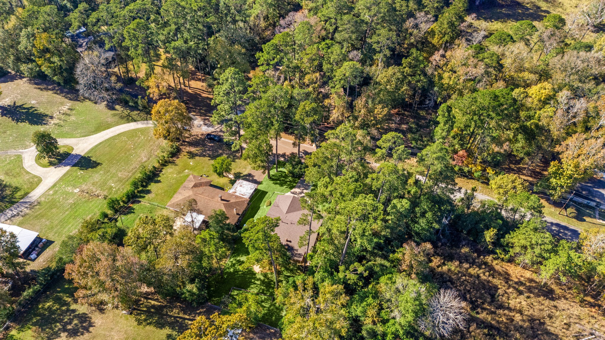 113 Hillendale Street Livingston, TX 77351 - Photo 44 of 47 Wide aerial shot displaying the peaceful, tree-lined neighborhood.